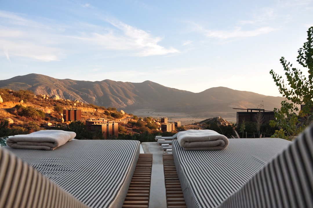 The Role of Online Booking in the Hospitality Industry